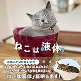 ねこは液体