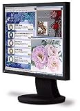 ナナオ EIZO(NANAO)FlexScan L568-GY 17型カラー液晶モニター セレーングレイ