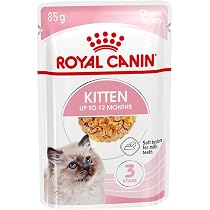 Amazon | ロイヤルカナン FHN キトン 子猫用 2kg | ロイヤルカナン