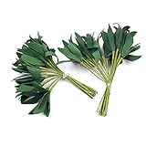 funnytoday365 20pcs Foamグリーン人工リーフのブーケウェディングパーティー装飾アクセサリーLeave FleursスクラップブックDIYクラフト