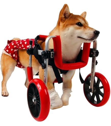 Amazon.co.jp: MIKEART 犬用車椅子 4輪 歩行器 小型犬 中型犬 全身