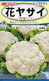 トーホク 花ヤサイ カリフラワー　白穂（はくほ） 野菜 1.3ml