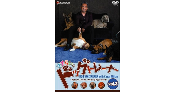 国際ブランド さすらいのドッグトレーナー Dvd Vol 2 問題犬スペシャリスト あなたのダメ犬しつけます その他 Www Jkuat Ac Ke
