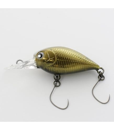 Amazon.co.jp: ロデオクラフト×ラッキークラフト RCディープクラピー