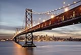Komar 8-733 Bay Bridge 8-Panel Wall Mural [並行輸入品]