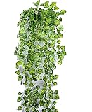 【SCGEHA】フェイクグリーン インテリア イミテーション 人工 観葉植物 壁掛け 緑 癒し ３種類（Ｂタイプ／２本）