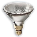 GE Lighting 16357 90-Watt PAR38 Edison Halogen Spotlight [並行輸入品]