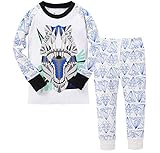 Gold treasure綿100%子供パジャマ長袖 キッズ 漫画の機械的恐竜寝間着2-7歳 (90cm(2歳))