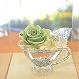 [florence du]【わけあり品】プリザーブドフラワー スワロフスキーストーン付 グリーンバラ アレンジメント