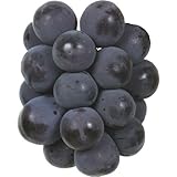 国華園　果樹苗　ブドウ　ピオーネ　1株【※発送が国華園からの場合のみ正規品です】