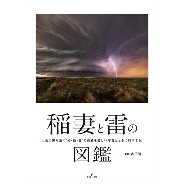 Amazon.co.jp: 解明カミナリの科学 : 岡野 大祐: 本