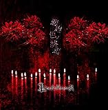 �ߋs�F�m�I��
