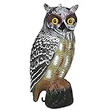 Wholehot　カラスよけフクロウ　カラス専用退治器 　防鳥防獣対策　 鳥 　野良猫　犬 　ネズミ　駆除　糞　退治 　鳥獣　害用品　庭園　お芝庭　花壇　ベランダ　PE製　選べる3色　（ホワイト）