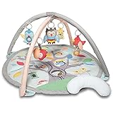 スキップホップ ツリートップ フレンズ 【 グレー パステル 】 アクティビティ ジム プレイマット 307275 [並行輸入品]