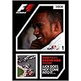 2008 FIA F1世界選手権総集編 完全日本語版 [DVD]
