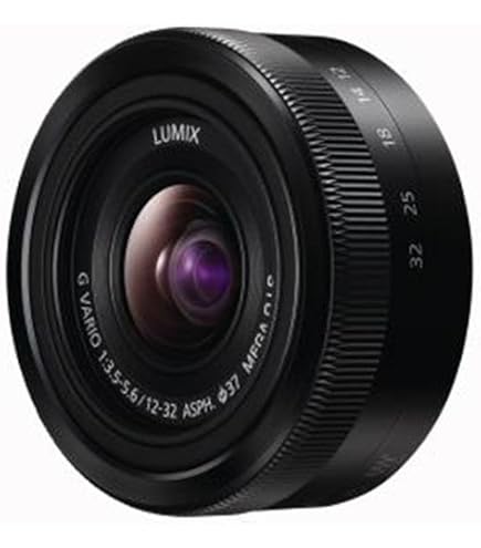 Panasonic Micro Four Thirds interchangeable lens LUMIX G VARIO 12