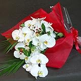 ＜ 誕生日 結婚記念日 フラワーフラワーギフト 贈り物におすすめ＞ 胡蝶欄花束 大輪（白 観葉入り）