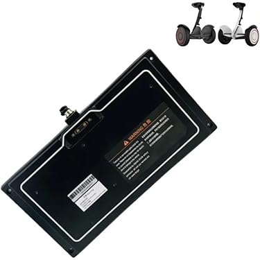 Amazon.co.jp 最新リリース: 電動自転車用バッテリー の新着ランキング