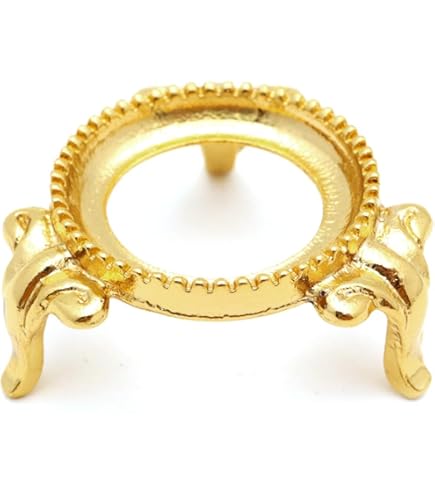 Amazon.co.jp: 夜光貝 2個セット 姿磨き インテリア 飾り物