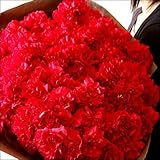 パラボッセ 遅れてごめんね 母の日 花束 カーネーション 100本 bouquet red carnation