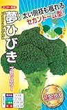 ナント種苗 ブロッコリー 夢ひびき