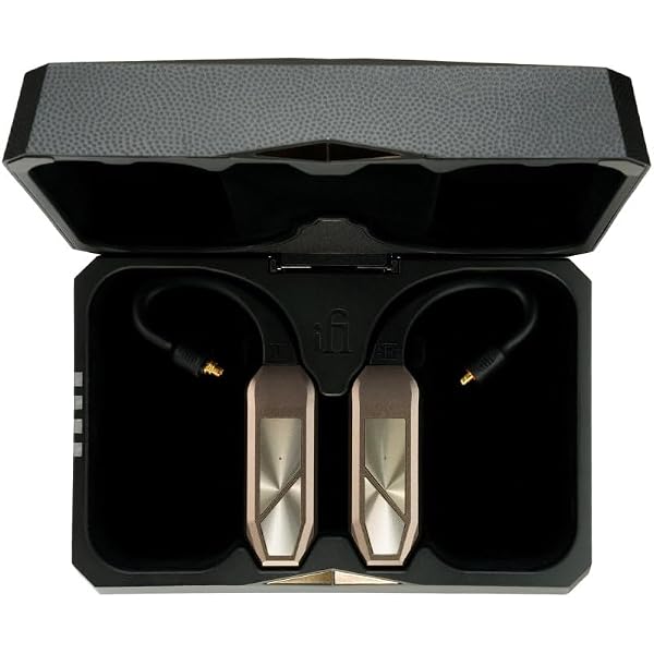 Amazon | iFi audio GO pod MAX【日本正規店より発送】Bluetoothアンプ