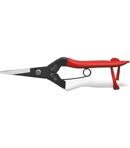 Amazon | 岡恒 剪定鋏 180mm NO.101 | 園芸用はさみ