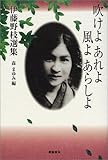 吹けよあれよ風よあらしよ―伊藤野枝選集