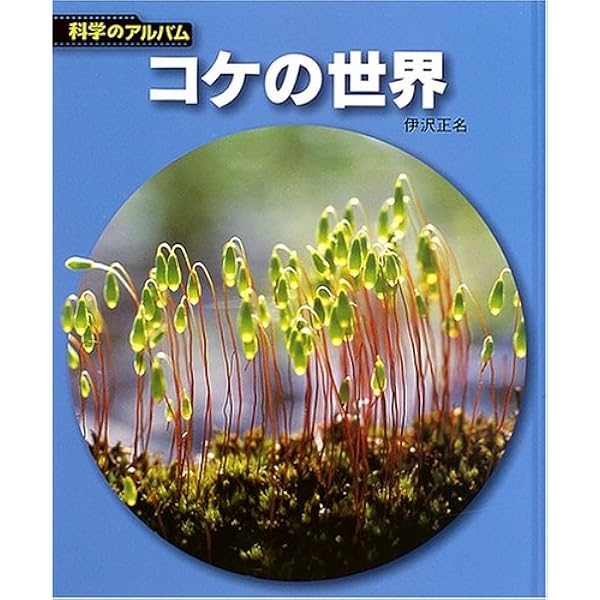 キノコの世界 新装版 (科学のアルバム植物 9) | 伊沢 正名 |本