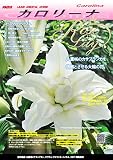 ゴージャスな八重咲百合球根 『ローズリリー・カロリーナ』大球×3球