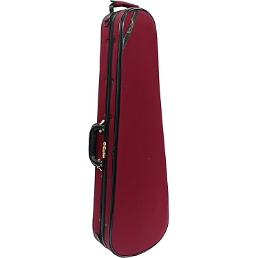 Amazon.co.jp 売れ筋ランキング: バイオリンケース の中で最も人気の