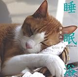 ������-�{����2-