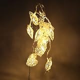 イルミネーションライト LED 電池式 クリアコード　室内の飾り パーティー 結婚式 ハロウィン装飾 祝日 イルミネーションクリスマス ハート型 10球 シャンパンゴールド　TOPAIM ZONTEN