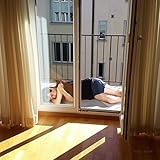 Fake Laugh Fake Laugh