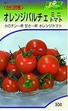 カネコ種苗 野菜タネハイクオリティ207 オレンジパルチェ ミニトマト 10袋セット