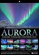谷角靖カレンダー2019 AURORA (セイセイシャカレンダー2019)