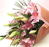 誕生日 花束 プレゼント 花 ギフト 大輪系 ピンクユリの花束 25輪以上 ゆり 百合 母の日