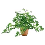 ベリーミックスグレープブッシュ【造花・アートフラワー】