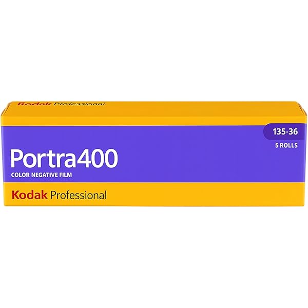 AILA: 川内倫子写真集 | 川内 倫子 |本 | 通販 | Amazon