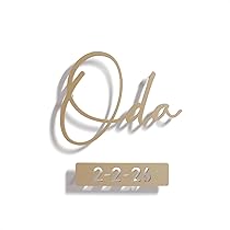 Amazon.co.jp: 表札AKIグラスショップ 表札 ステンレス [文字数