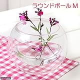 ガラスベース ラウンドボール M エアプランツ 多肉植物 ティランジア ガラス