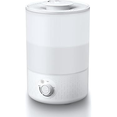 Amazon.co.jp 最新リリース: 加湿器 の新着ランキングです。