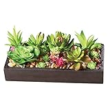 Collections Etc フェイク多肉植物ガーデン トレイ付き ブラック
