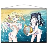 劇場版 魔法科高校の劣等生 星を呼ぶ少女 B2タペストリーB