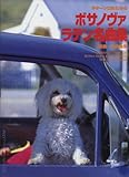 ギターソロのための ボサノヴァラテン名曲集 (GG434)