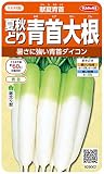 サカタのタネ 実咲野菜5002 夏秋どり青首大根 献夏青首   00925002