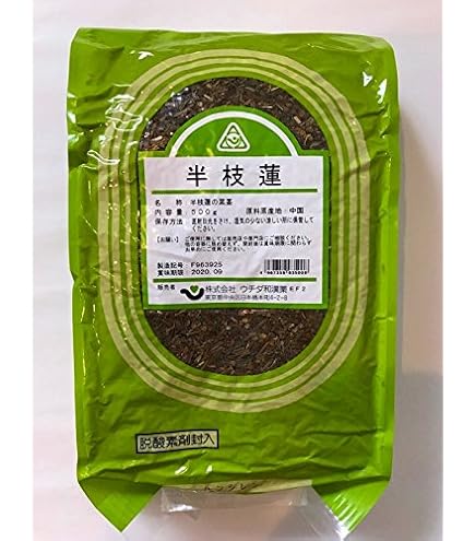 Amazon | ニューマイコン 漢方煎じ器 文火楽々 | 栃本天海堂 | 炊飯器