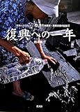 3.11 大震災・原発災害の記録〈2〉復興への一年―写真ルポルタージュ