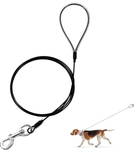 Heavy Duty Dog Toys 3ft Heavy Duty Dog Chain Leash Stainless Steel Lead Small Medium Large Dogs Gold Unbranded Leather Heavy Duty Dog Toys