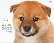 カレンダー2019 子いぬコロコロ (ヤマケイカレンダー2019)